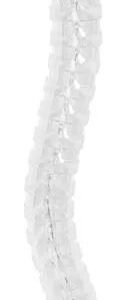 OE Elsafe: Umbilical Cable Management: Pathfinder Floor to Desk 780mm: Clear